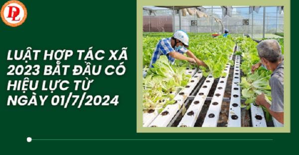 Một số điểm mới của Luật Hợp tác xã năm 2023 và các văn bản hướng dẫn thi hành Luật Hợp tác xã.